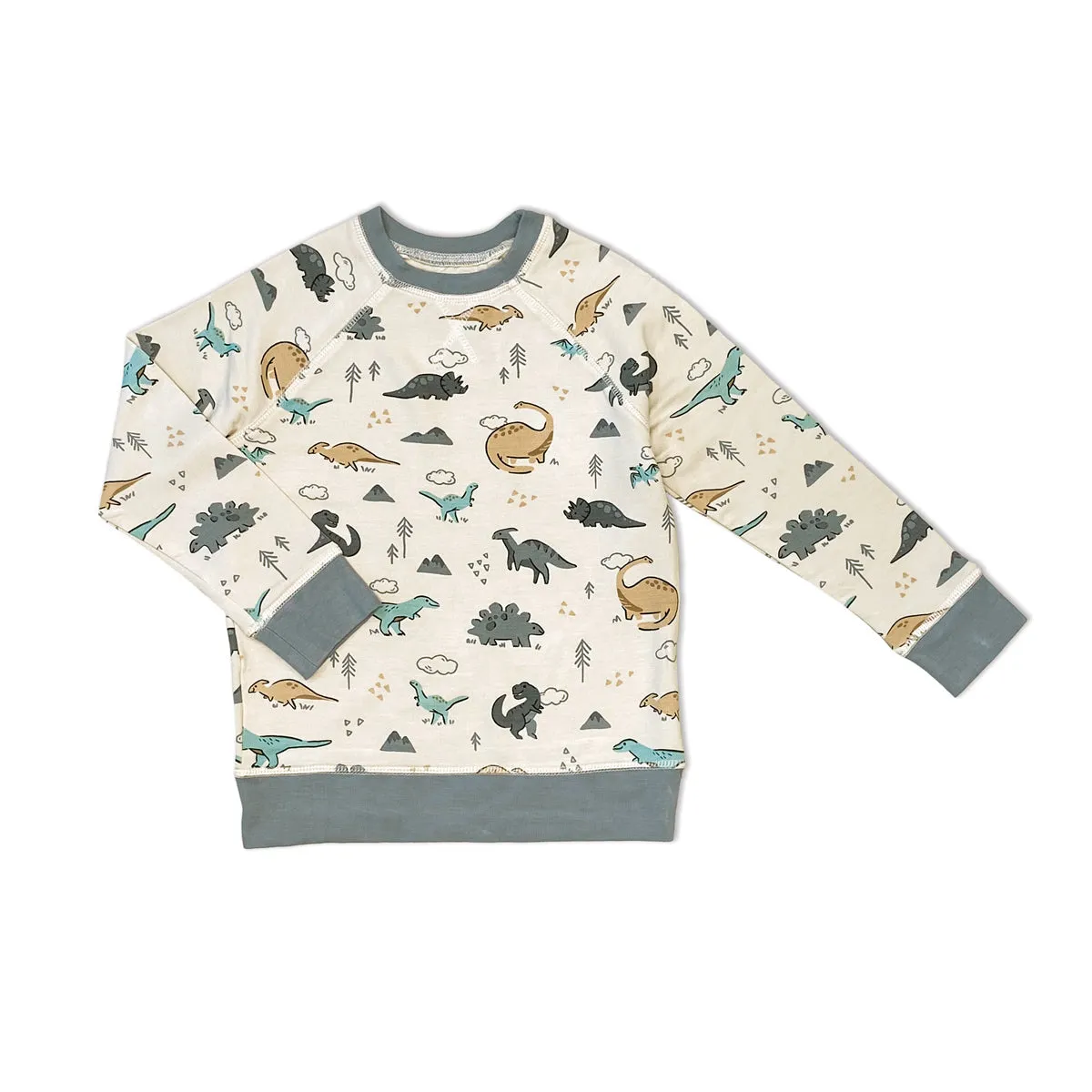 Bamboo Fleece Sweatshirt (Dino Delight Print)