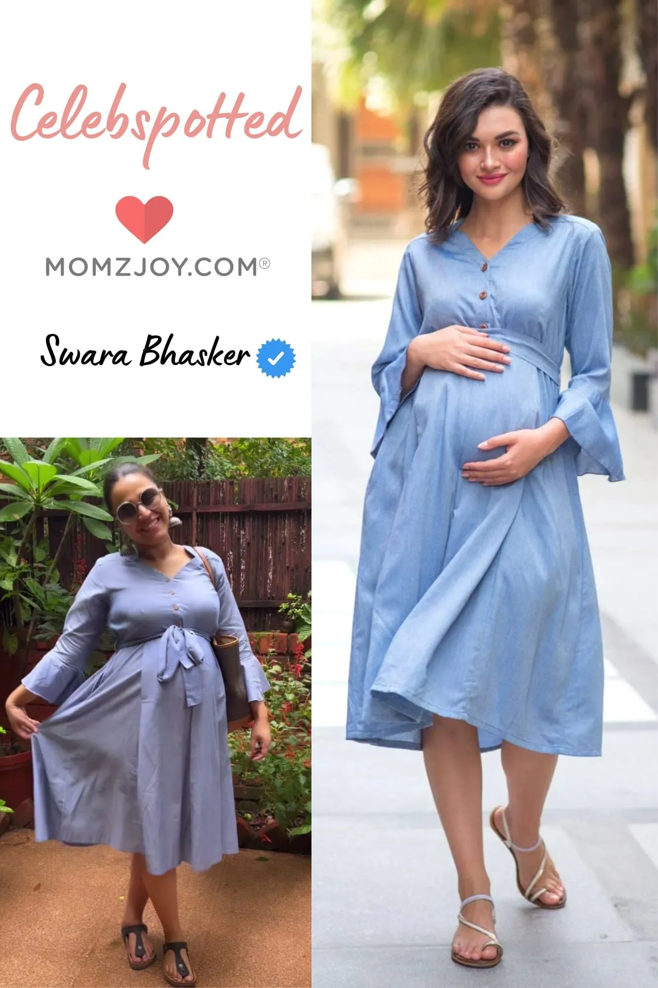 Denim Front Button Maternity & Nursing Dress