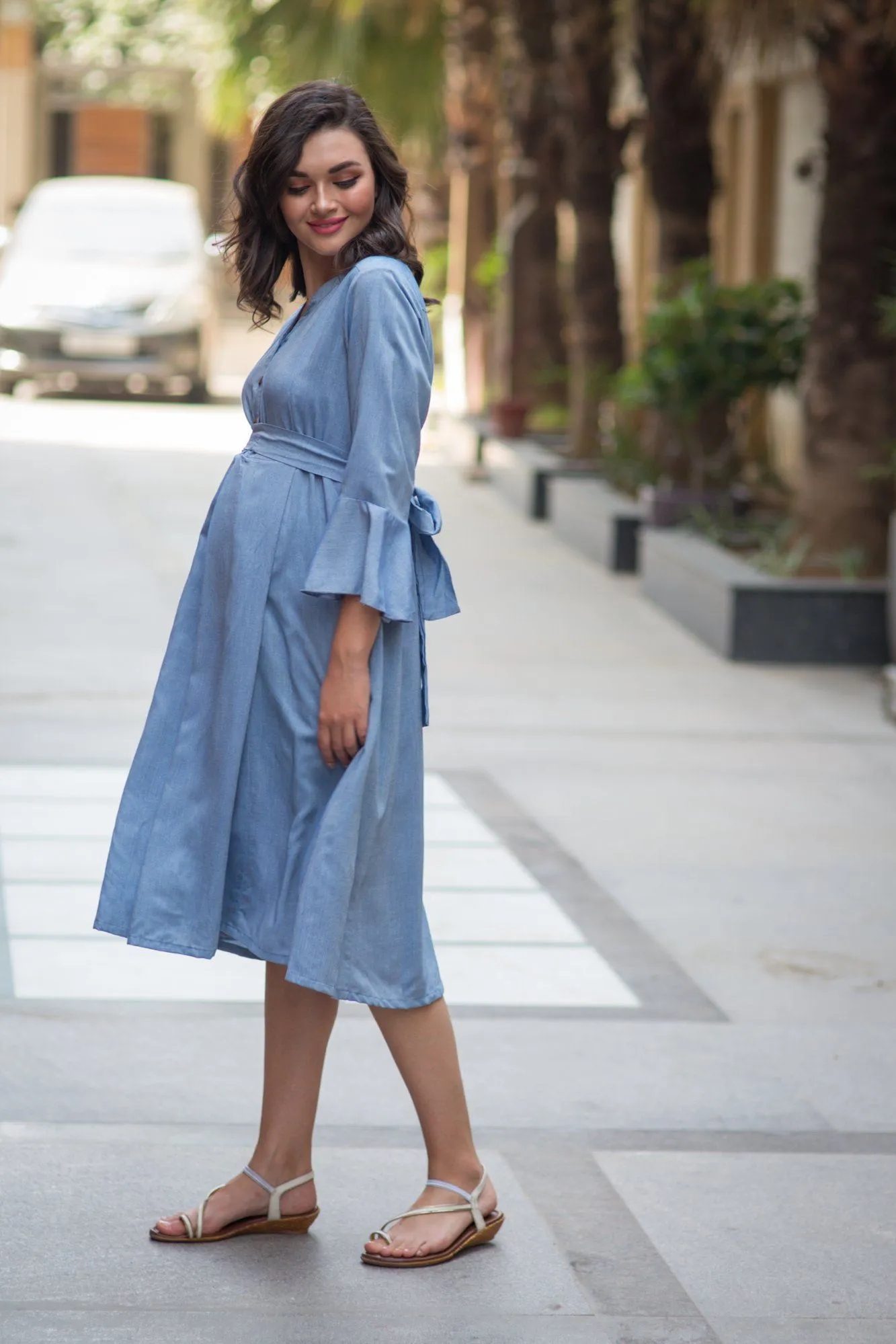 Denim Front Button Maternity & Nursing Dress